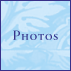 Foto's